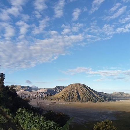 Tengger Indah Seruni Bromo Probolinggo Exterior photo