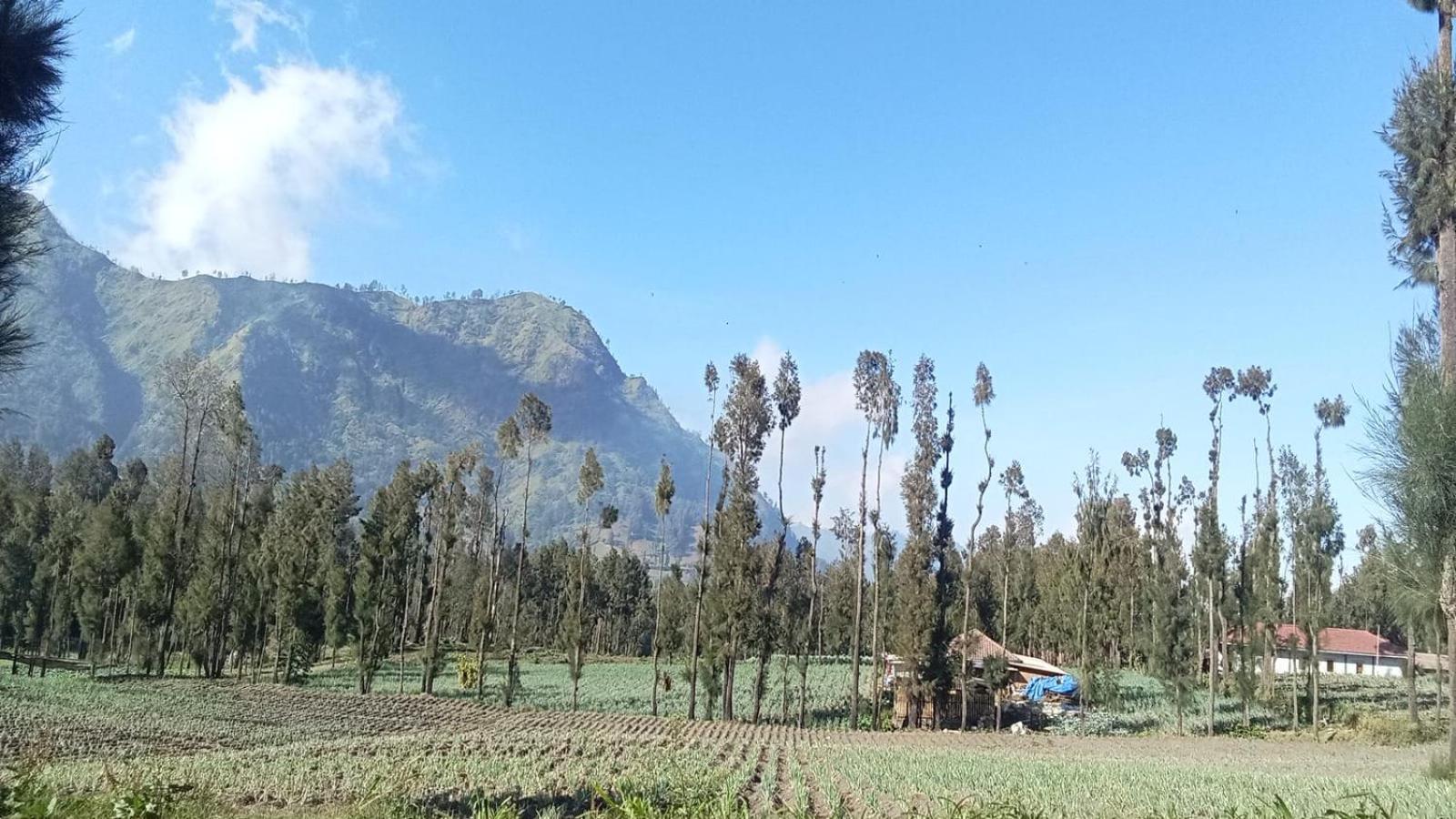 Tengger Indah Seruni Bromo Probolinggo Exterior photo